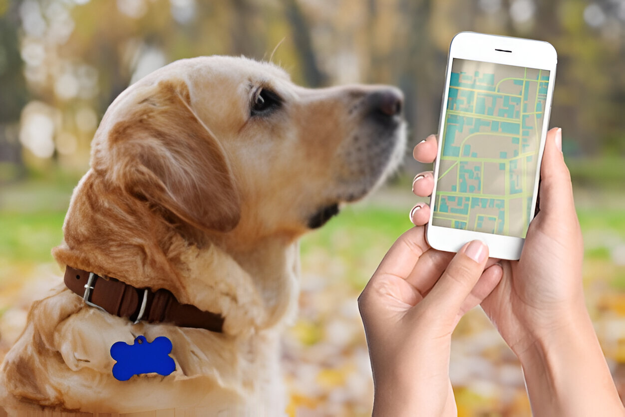 Dog Tracking with GPS